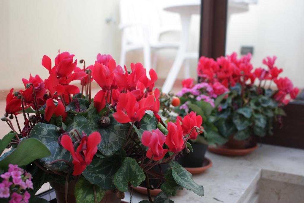 Residence Barbara Trapani Ngoại thất bức ảnh
